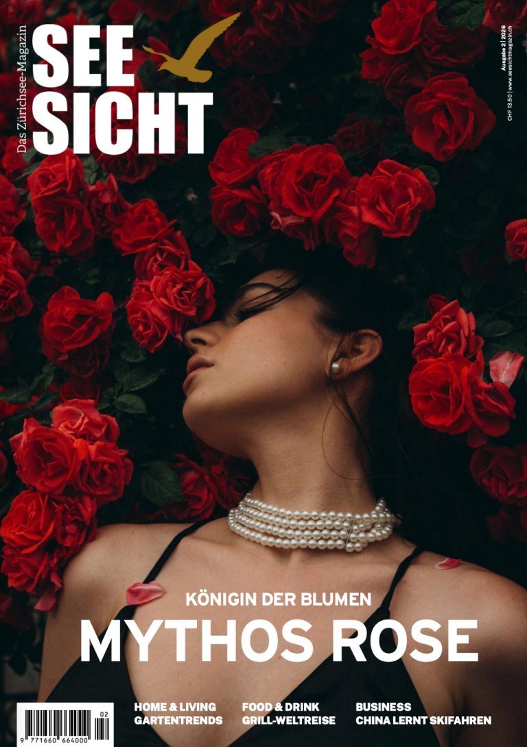 Seesicht 2:2026 Titel